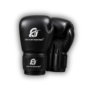 Boxing Gloves (Training)